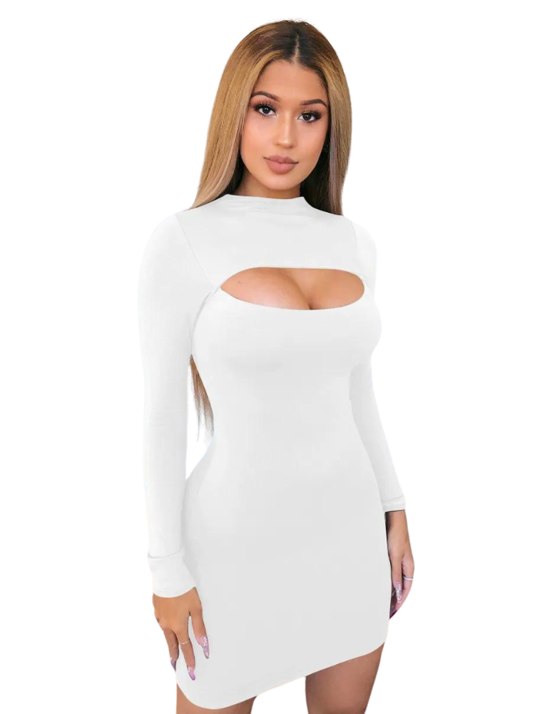 Belinda bodycon hollow out mini dress