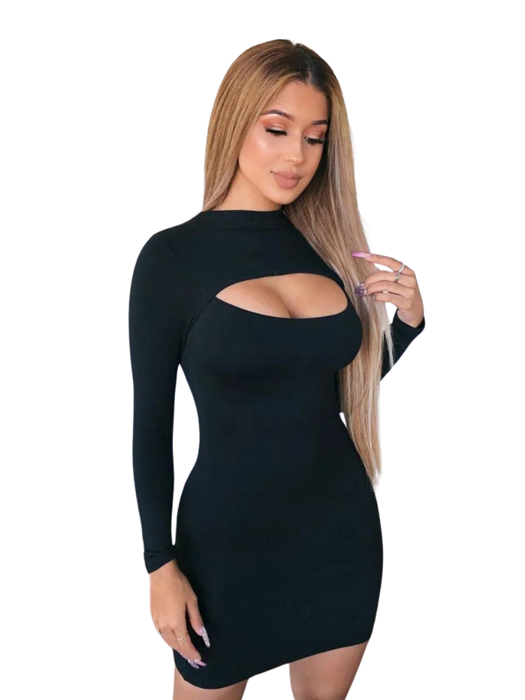 Belinda bodycon hollow out mini dress